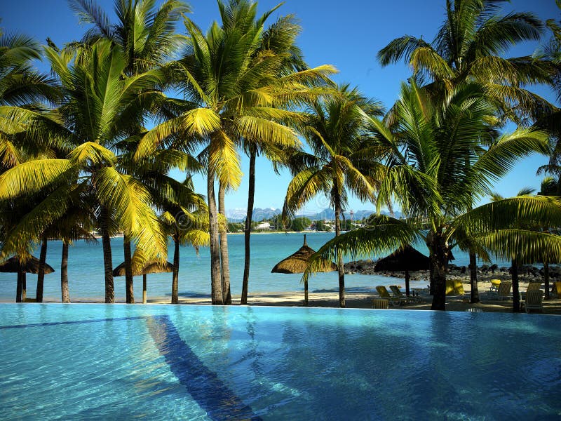 Pool on a tropical beach royalty free stock photo