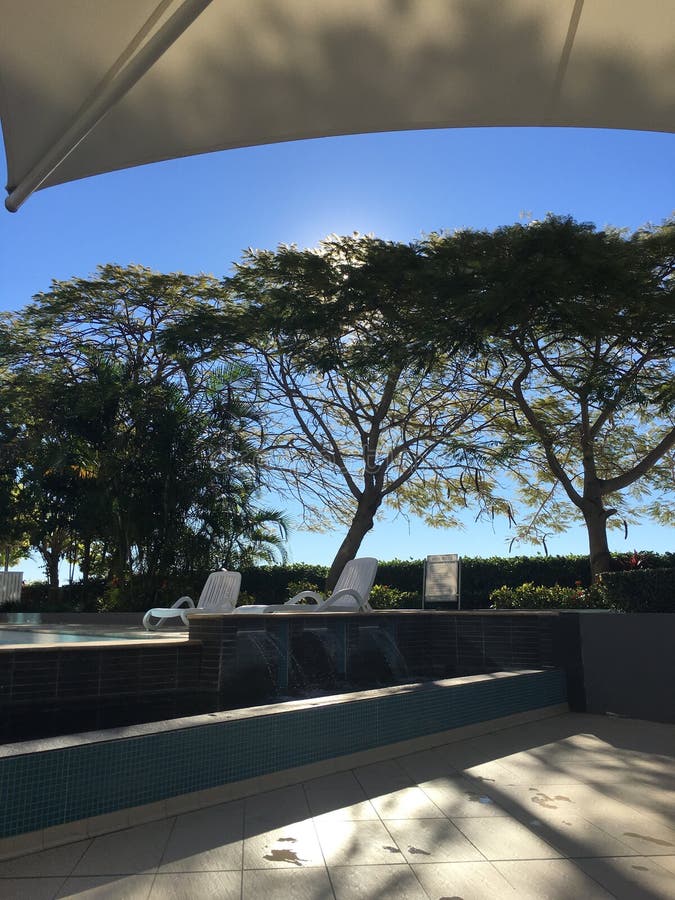 Poolside sunlight trees architectural lines stock photo
