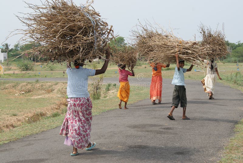 Poor children carrying brushwood