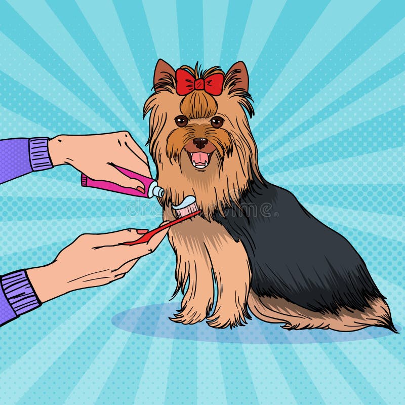 Pop Art Female Hand Holding Toothbrush med tandkräm Borsta tänder Yorkshire Terrier Älsklings- Healt omsorg stock illustrationer Pop Art Female Hand Holding Toothbrush med tandkräm Borsta tänder Yorkshire Terrier Älsklings- Healt omsorg stock illustrationer