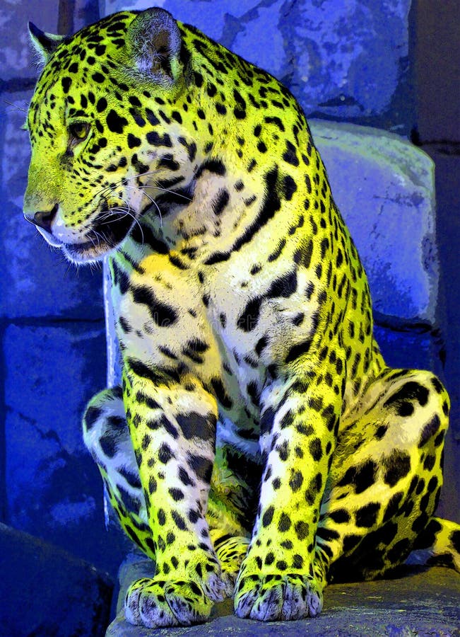 Pop Art Jaguar Icon with Color Spots. Stock Image - Image of animal, close:  257845923