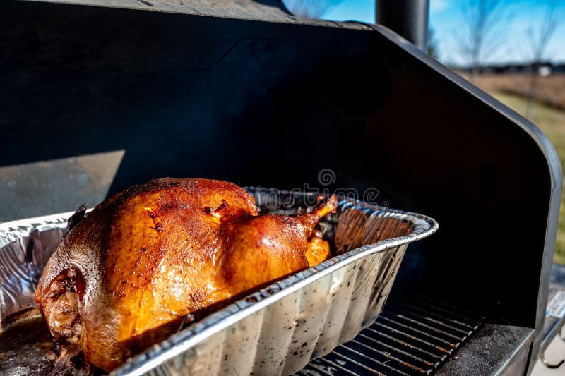 Woman Measuring Temperature of Whole Roasted Turkey with Meat Thermometer  Stock Image - Image of kitchen, gourmet: 149091947