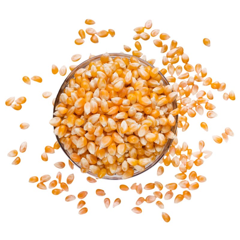 Popcorn di Unpopped in ciotola su fondo bianco immagini stock libere da diritti Popcorn di Unpopped in ciotola su fondo bianco immagini stock libere da diritti