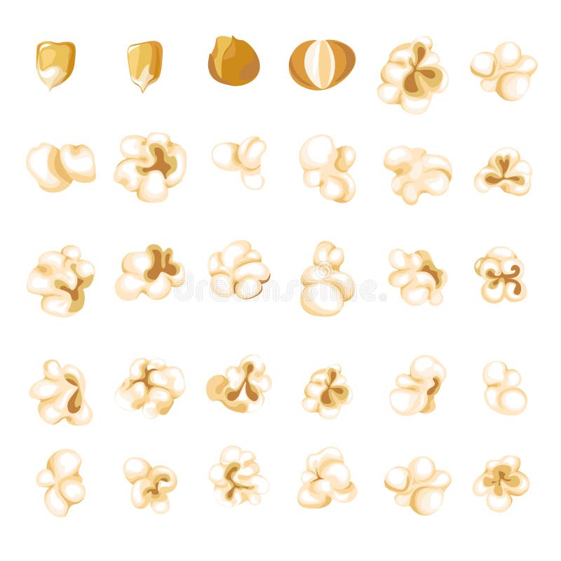 Popcorn Kernel Types and Process of Popping Vector Stock Illustration