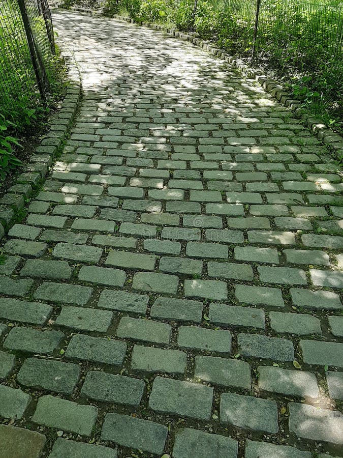 Popielata ceglana ścieżka otaczająca z natury w central park, Nowy Jork obraz royalty free Popielata ceglana ścieżka otaczająca z natury w central park, Nowy Jork obraz royalty free