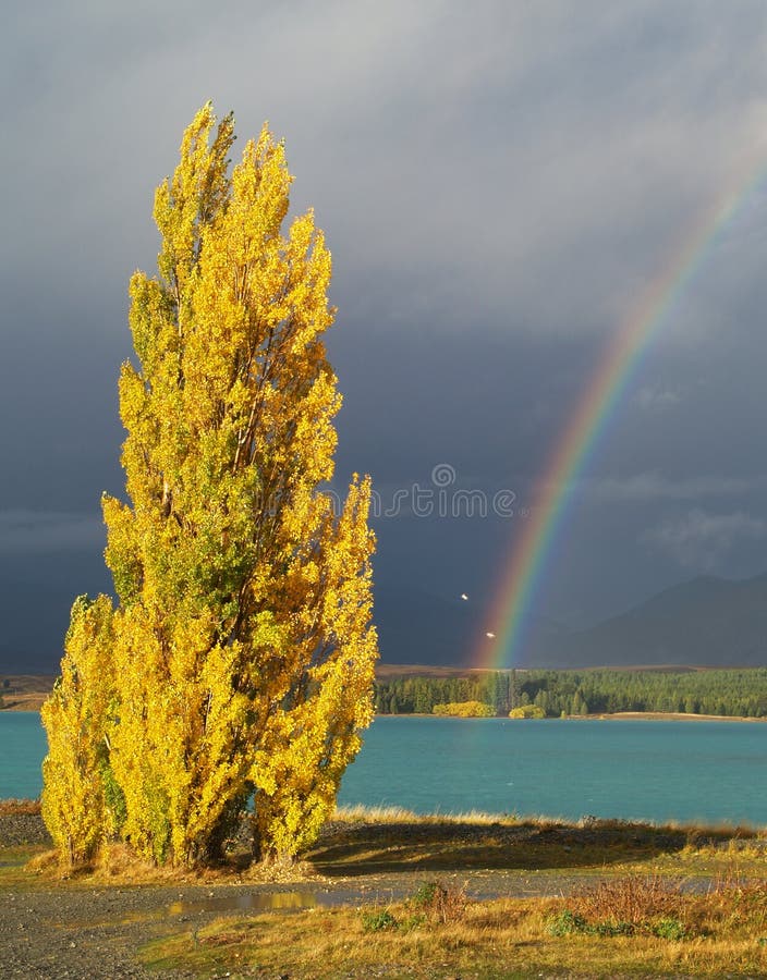 Poplar and lake stock photo. Image of autumn, summit 24427988