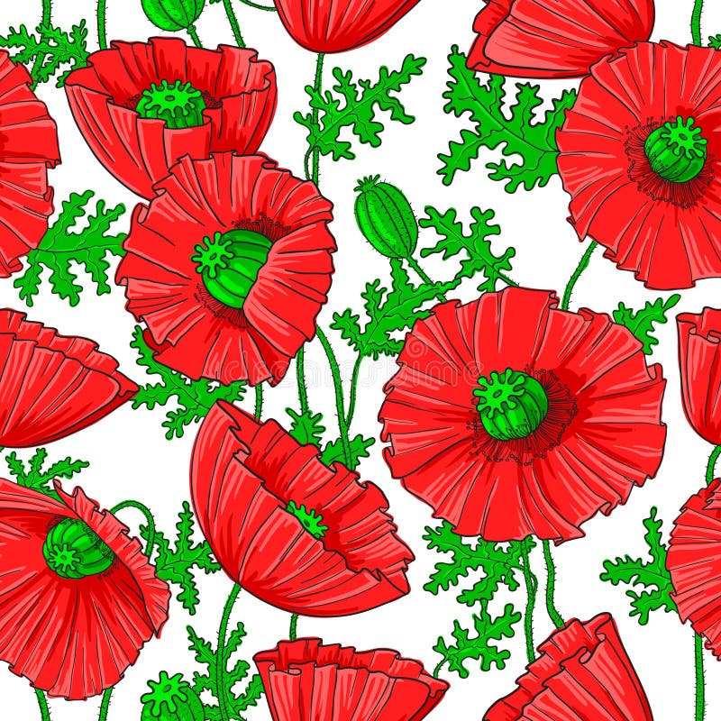 Poppy stock vector. Illustration of nature, flower, floral - 25594170