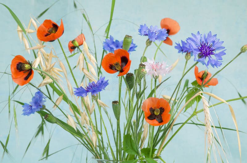 Wildflowers Placemats Colorful Watercolor Flowers Poppy Cornflower