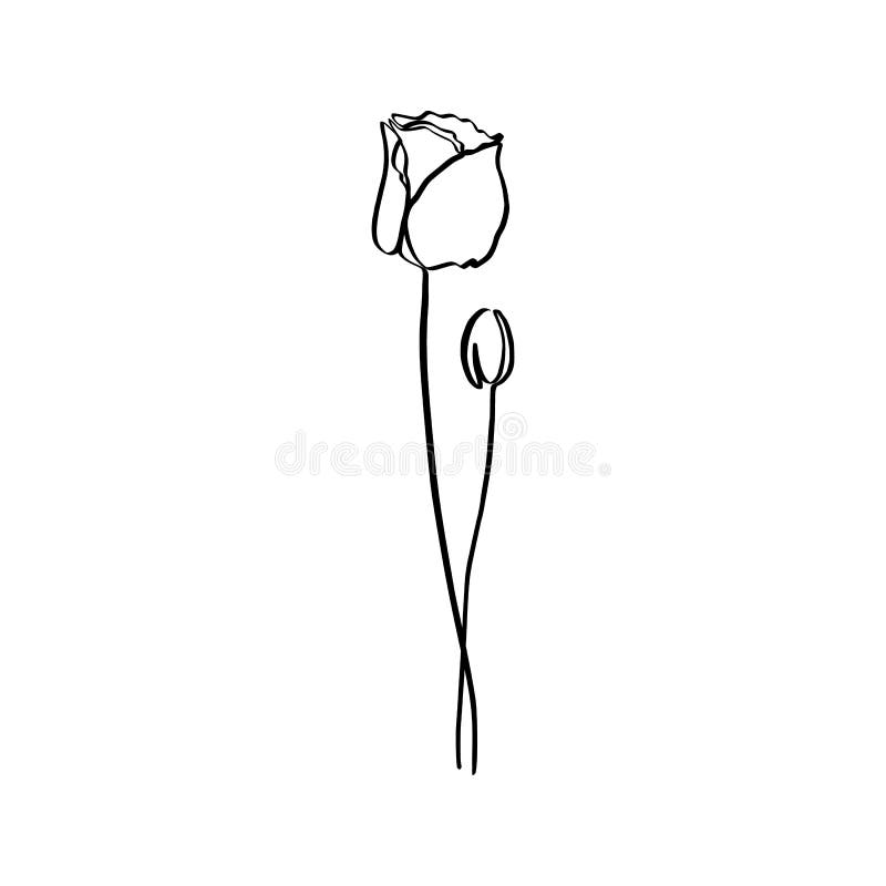 Poppy Flower, kontinuerlig linjedragning Vektorabstrakt anläggning i ett trendy minimalistiskt format stock illustrationer