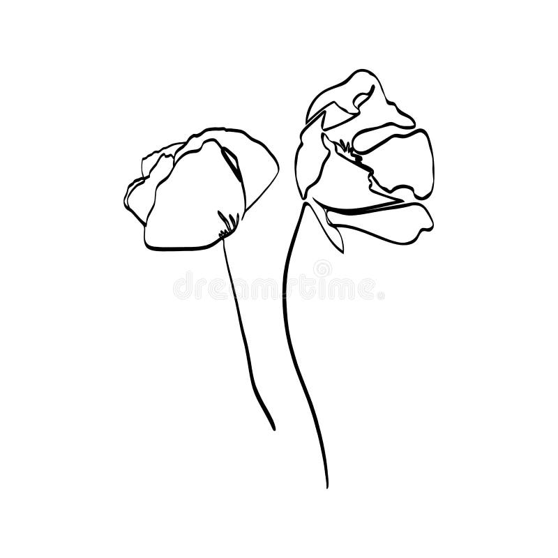 Poppy Flower, kontinuerlig linjedragning Vektorabstrakt anläggning i ett trendy minimalistiskt format vektor illustrationer