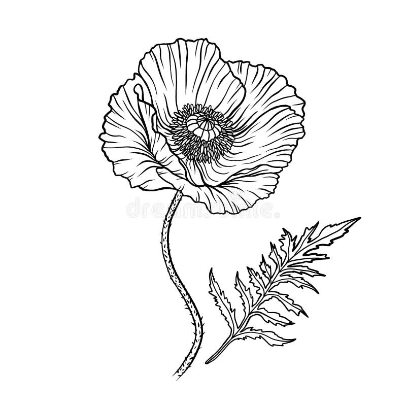 Anzac Silhouette Stock Illustrations – 211 Anzac Silhouette Stock ...