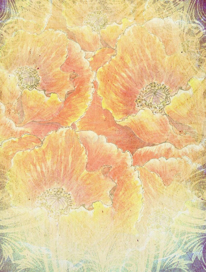 Poppy Flowers Sketch ilustración del vector Poppy Flowers Sketch ilustración del vector