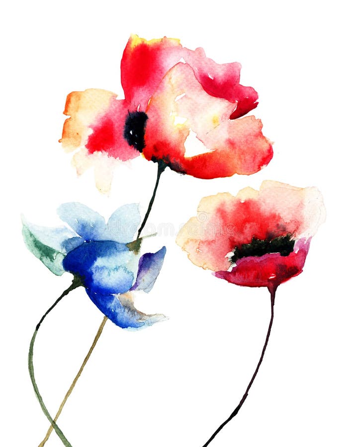 Poppy Flowers, Watercolor Illustration Stock Illustration ...