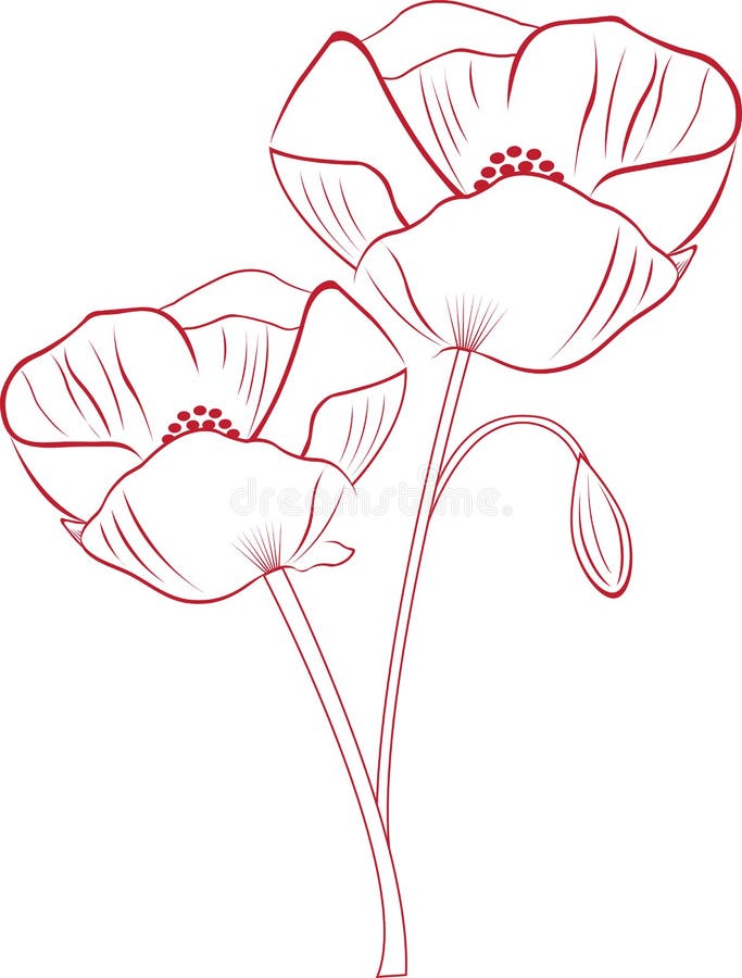 Poppy Flower Outline SVG