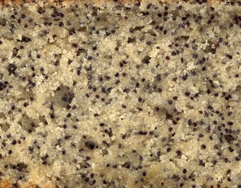 Poppy Seed Cake Texture