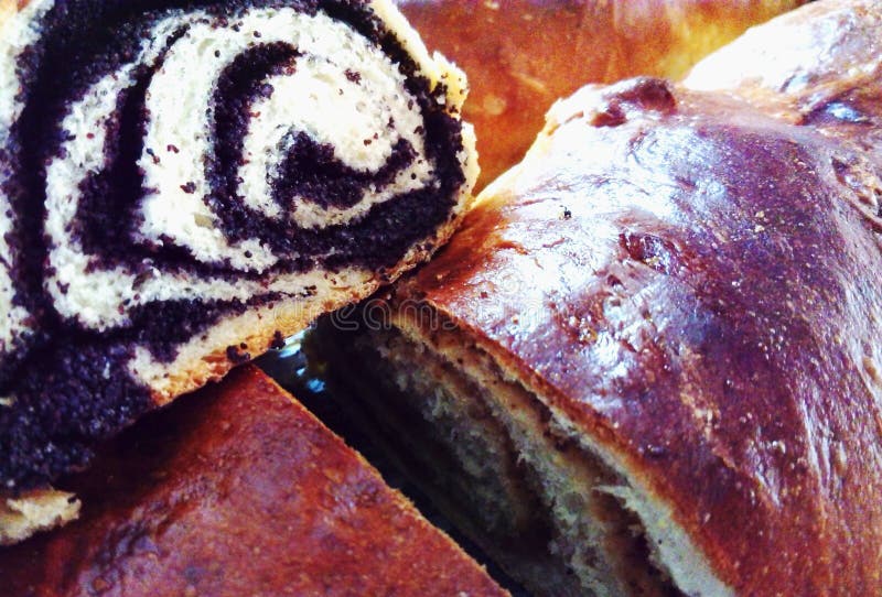 Poppy seed and nut roll stock photo. Image of cookie 161155380