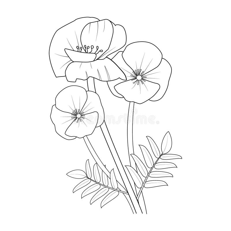 Premium Vector  Outline pansy flower tattoo designs pansy flower vector  art coloring page for adults isolated image