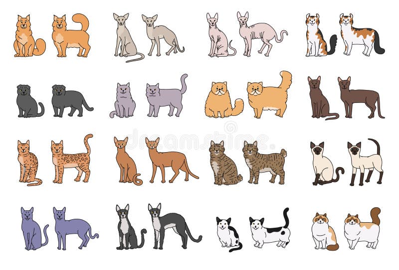 49 breeds of cats chart, svg, jpg, png, 16*20