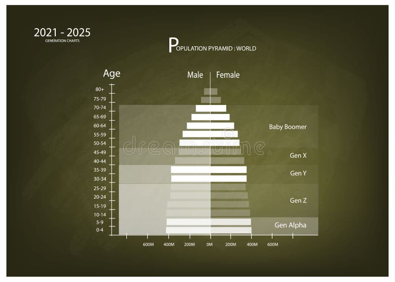 20212025 Population Pyramids Graphs with 5 Generation Stock Vector