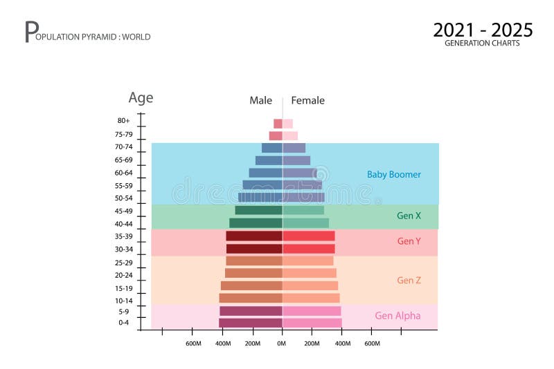 20212025 Population Pyramids Graphs with 5 Generation Stock Vector