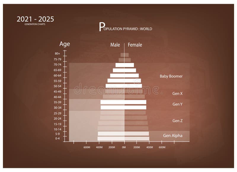 20212025 Population Pyramids Graphs with 5 Generation Stock Vector