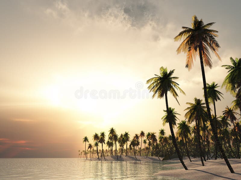 Por do sol bonito ilustração royalty free