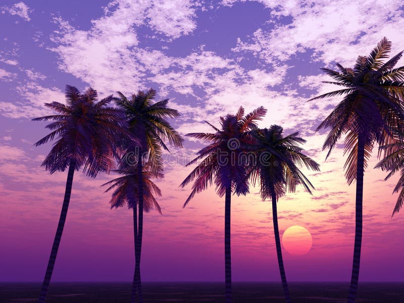 Por do sol bonito ilustração royalty free