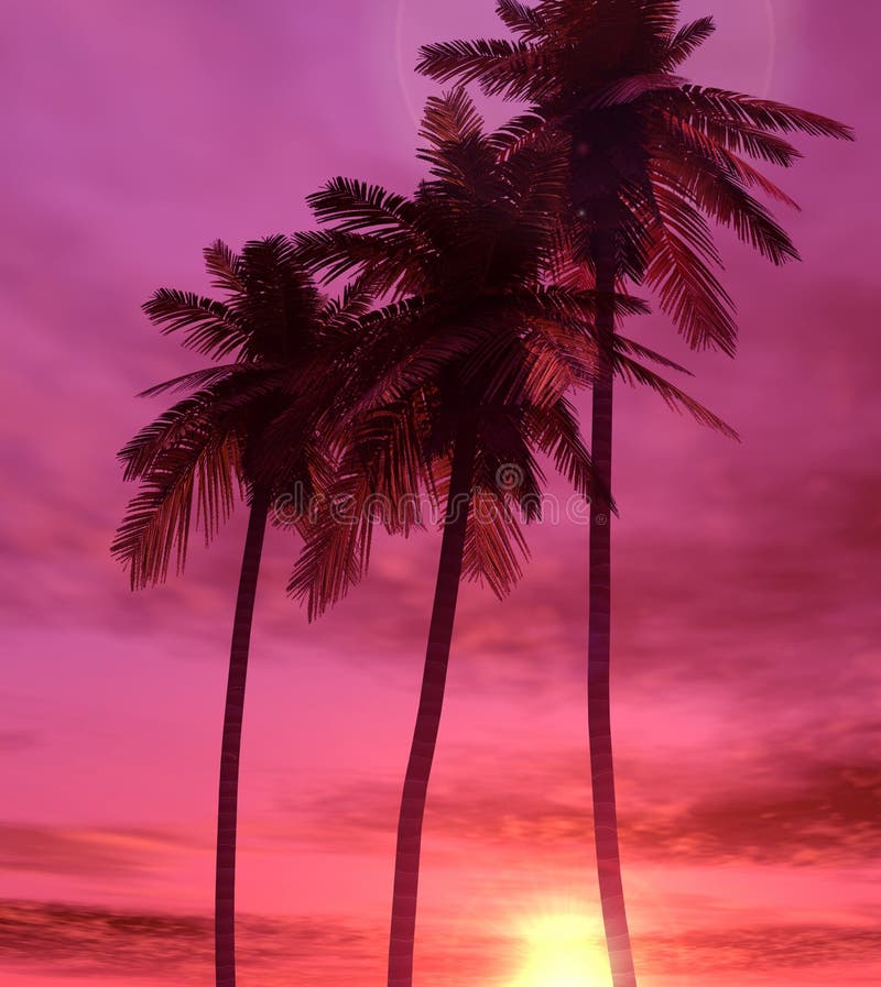 Por do sol bonito ilustração royalty free