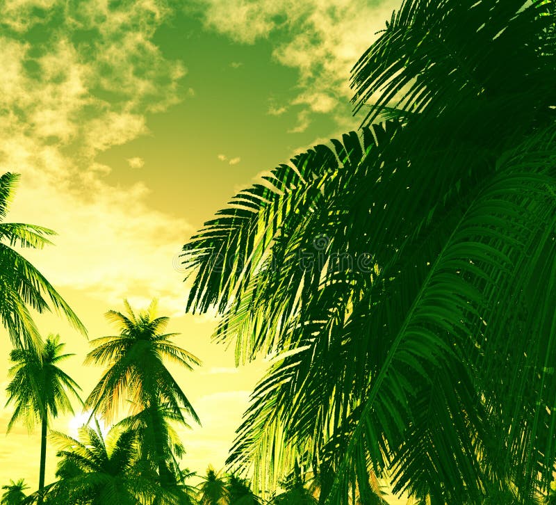 Por do sol bonito ilustração do vetor