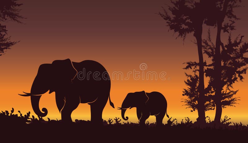 Por do sol bonito com elefante Elefante do bebê com mamã, fundo da natureza ilustração stock