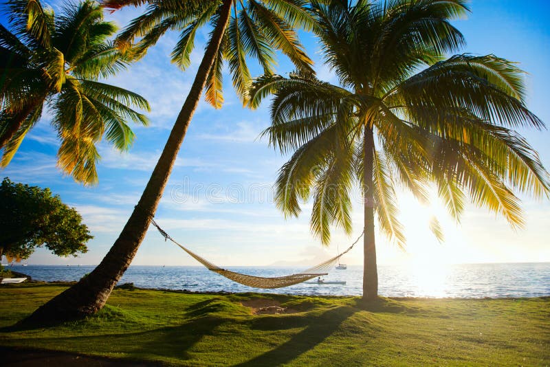 Por do sol bonito das férias imagem de stock Por do sol bonito das férias imagem de stock