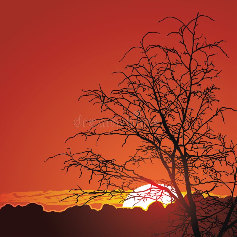 Por do sol bonito nas montanhas ilustração royalty free