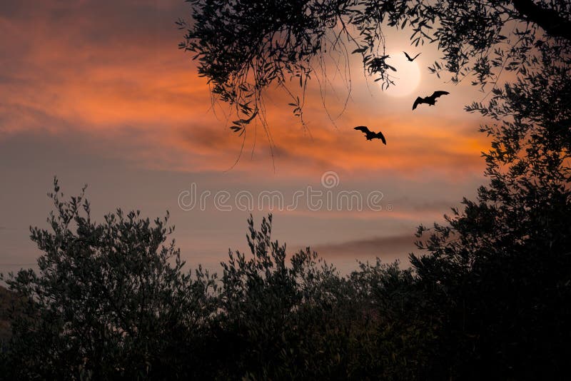 Por do sol de Dia das Bruxas com bastões e Lua cheia fotos de stock Por do sol de Dia das Bruxas com bastões e Lua cheia fotos de stock