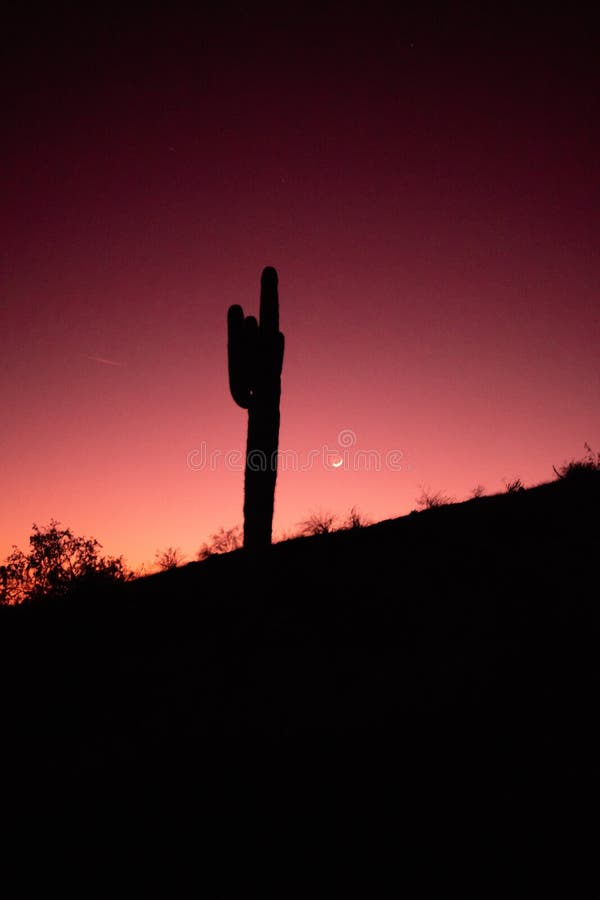 Por do sol do deserto de Sonoran imagem de stock royalty free Por do sol do deserto de Sonoran imagem de stock royalty free