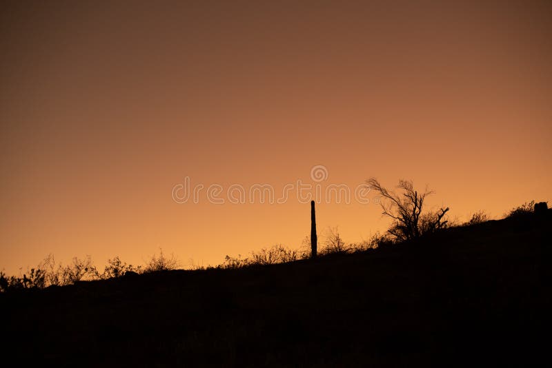 Por do sol do deserto de Sonoran imagens de stock Por do sol do deserto de Sonoran imagens de stock