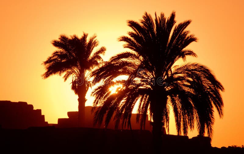 Por do sol em Egipto Luxor África