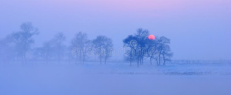 Por do sol frio morno do inverno foto de stock royalty free Por do sol frio morno do inverno foto de stock royalty free