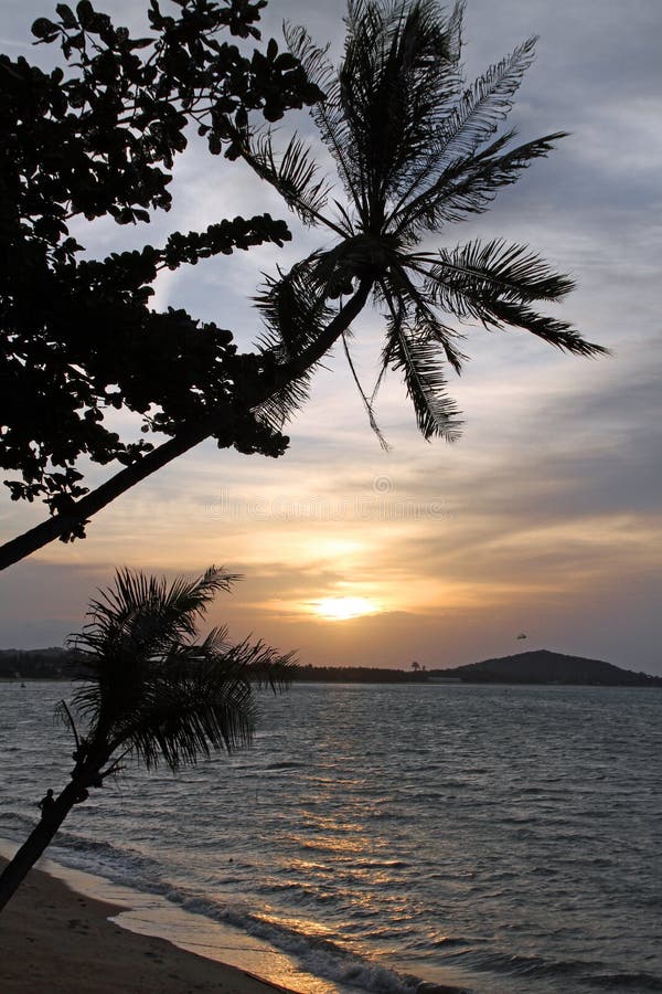 Por do sol na ilha tropical imagem de stock Por do sol na ilha tropical imagem de stock