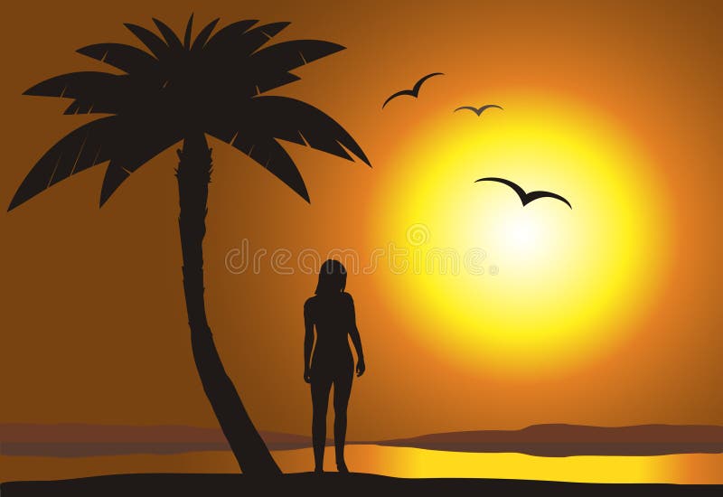 Por do sol na praia ilustração stock Por do sol na praia ilustração stock