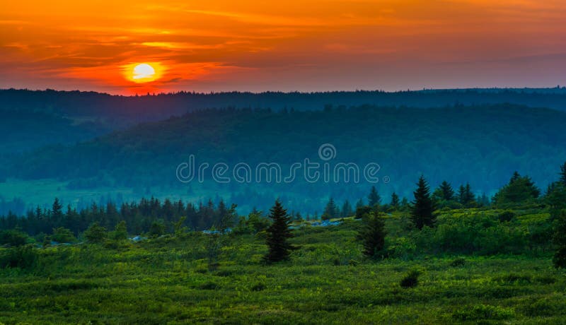 Por do sol sobre Dolly Sods Wilderness, floresta nacional de Monongahela, fotografia de stock royalty free Por do sol sobre Dolly Sods Wilderness, floresta nacional de Monongahela, fotografia de stock royalty free