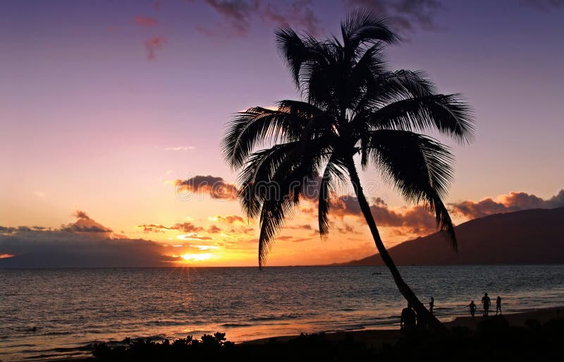 Por do sol tropical imagem de stock royalty free Por do sol tropical imagem de stock royalty free