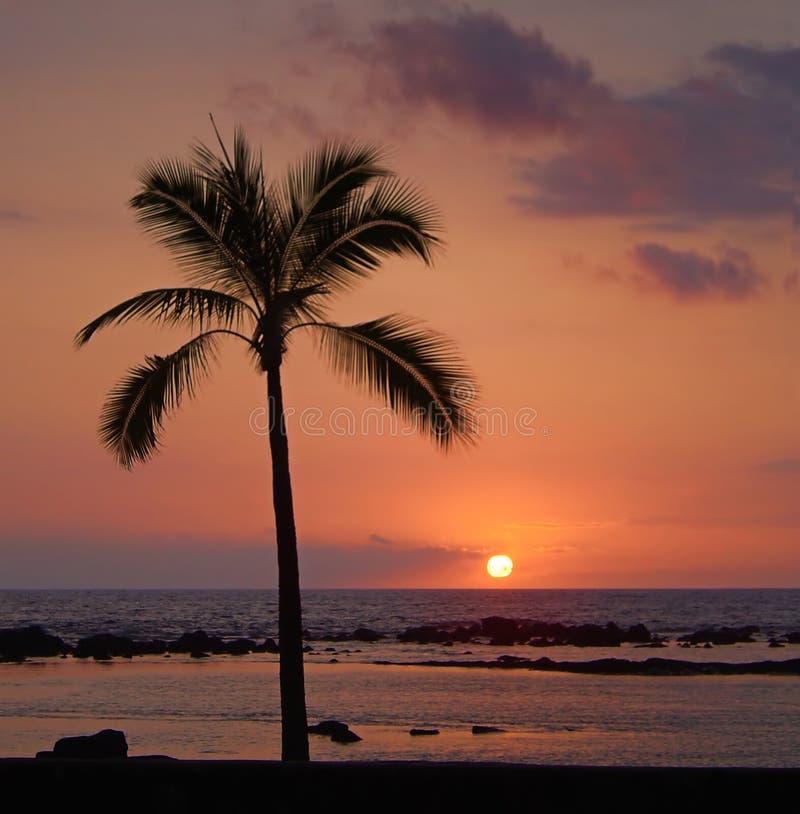 Por do sol tropical imagem de stock Por do sol tropical imagem de stock