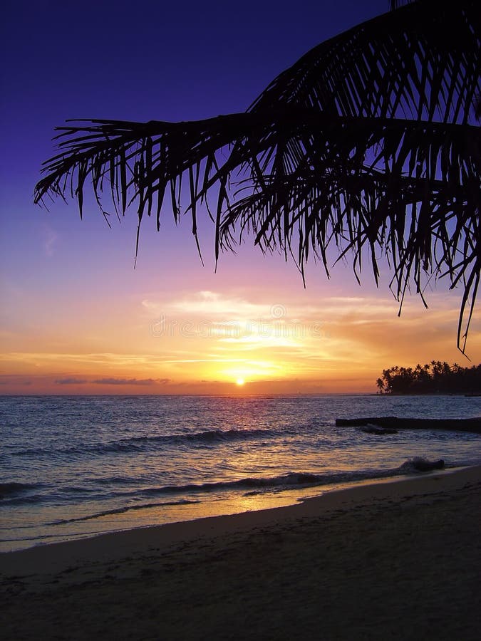 Por do sol tropical bonito imagem de stock royalty free Por do sol tropical bonito imagem de stock royalty free