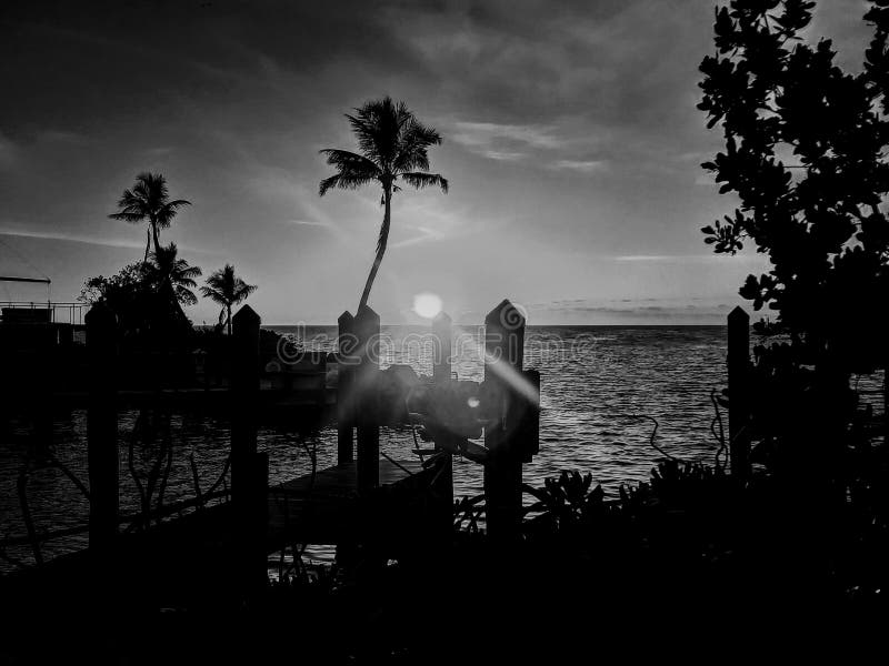 Por do sol tropical de Florida foto de stock Por do sol tropical de Florida foto de stock