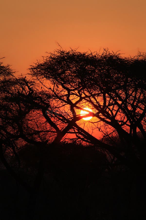 Lendário Rn7 Significa Rota Nacional Que Atravessa Savana Selvagem Vermelha  Africana Com Pequenas árvores E Arbustos Nos Lados Imagem de Stock - Imagem  de paisagem, destino: 174232899