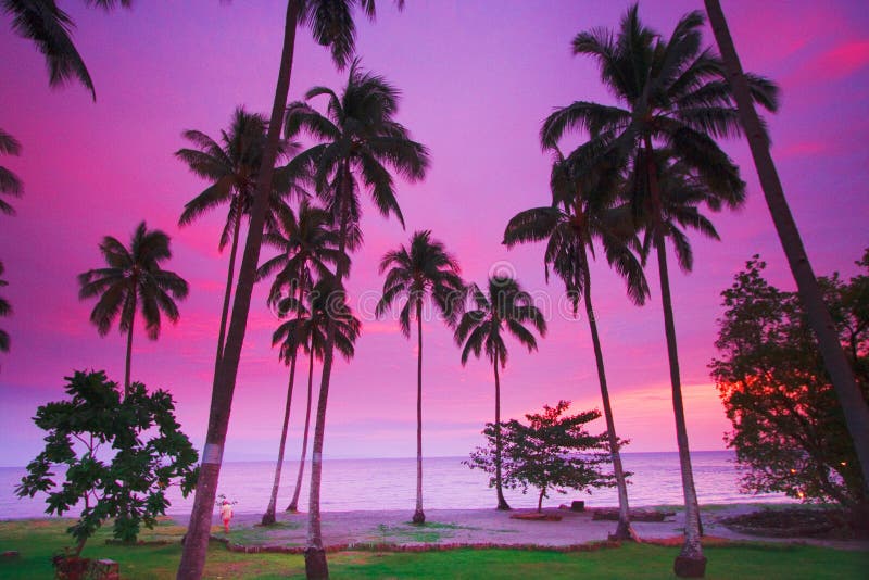 Por do sol tropical roxo imagem de stock royalty free Por do sol tropical roxo imagem de stock royalty free
