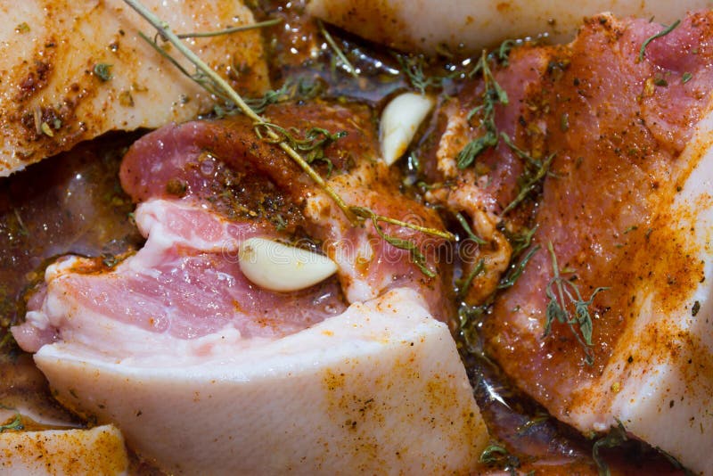 Porc avec des épices prêtes pour être fait cuire au four dans le four photos stock Porc avec des épices prêtes pour être fait cuire au four dans le four photos stock