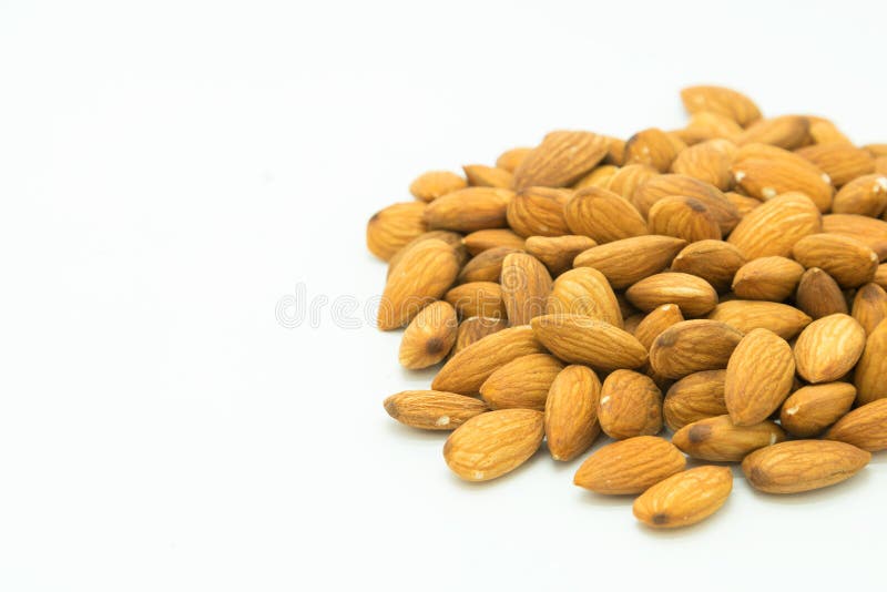 Porca da amêndoa de Brown no branco fotografia de stock