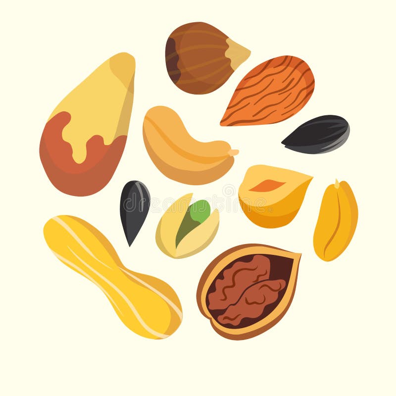 Nuts on white background. Cartoon vector. Healthy food. Nuts on white background. Cartoon vector. Healthy food