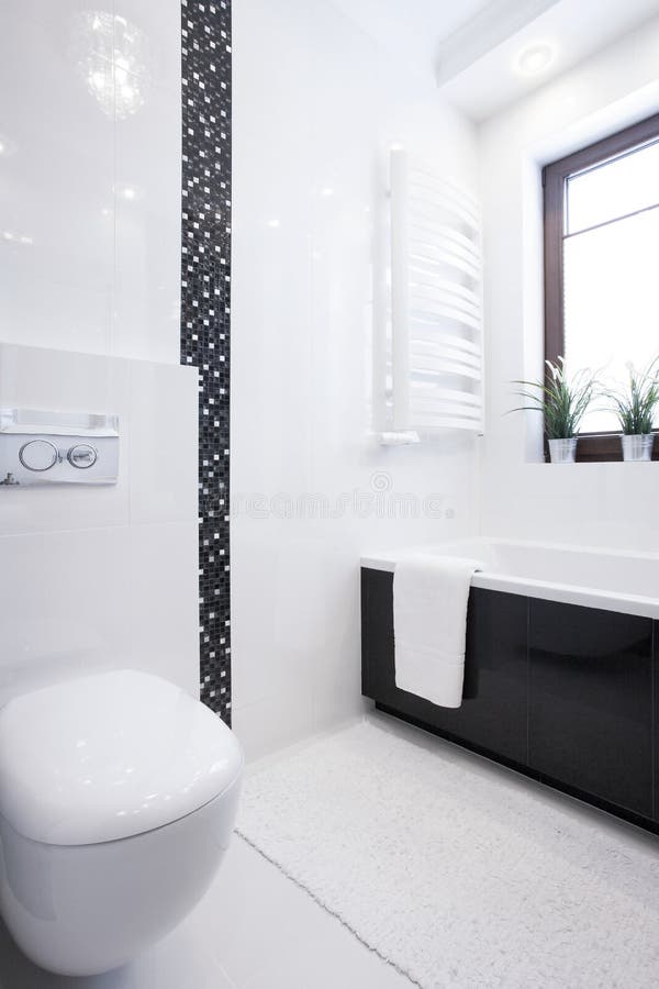 White and porcelain toilet stock photo. Image of spacious - 61938808